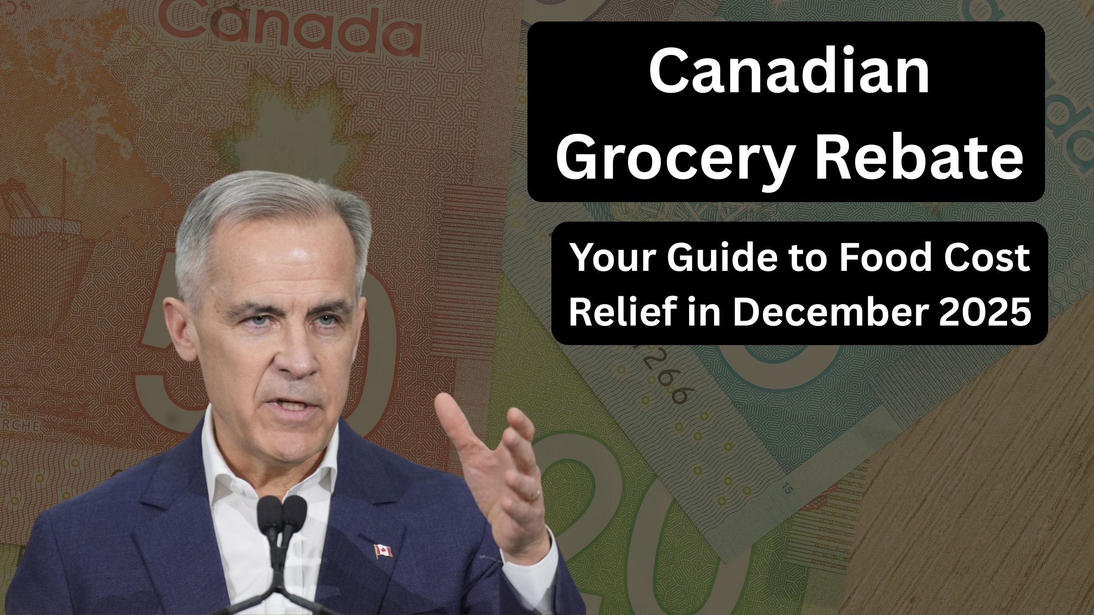 Canadian Grocery Rebate