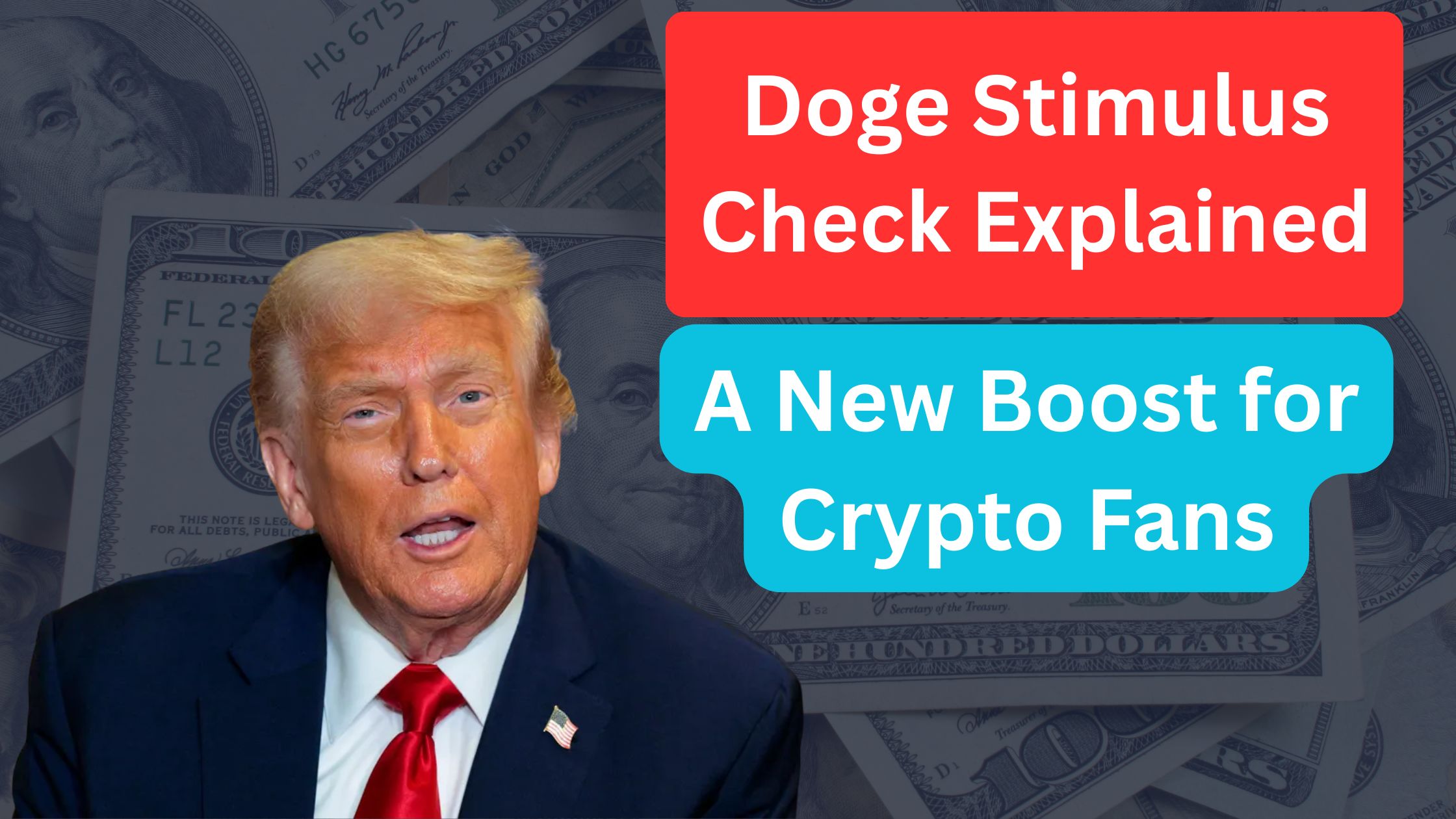 Doge Stimulus Check
